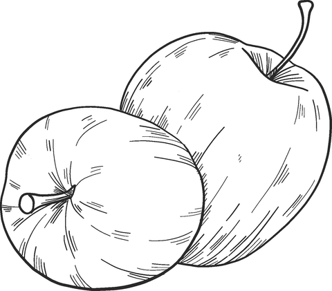 Two Apples Coloring Page